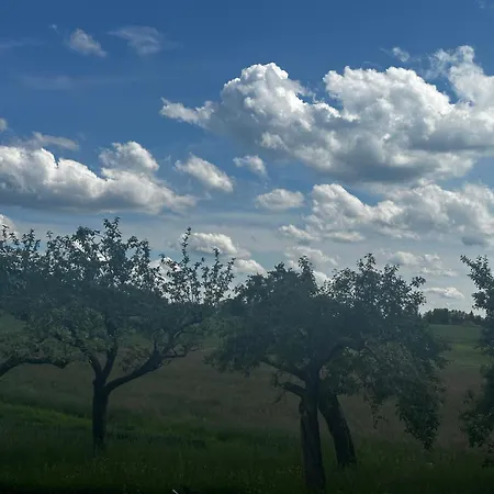 Schwaebischer Wald *