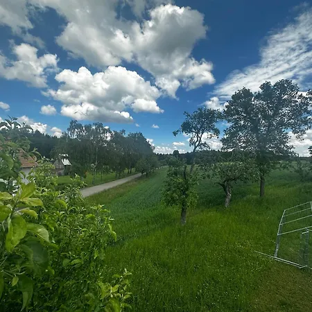 Schwaebischer Wald *