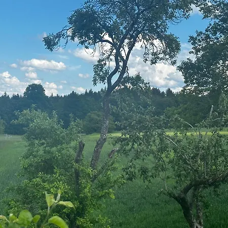 Schwaebischer Wald Apartmán *
